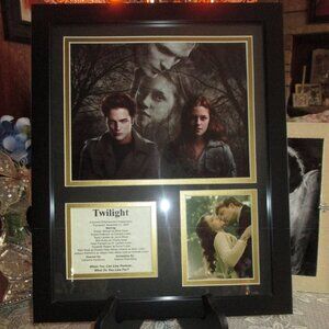 Twilight Framed Picture